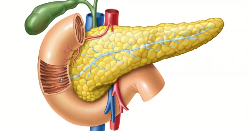 Gral Medical@CMH_Biopsie pancreas_1